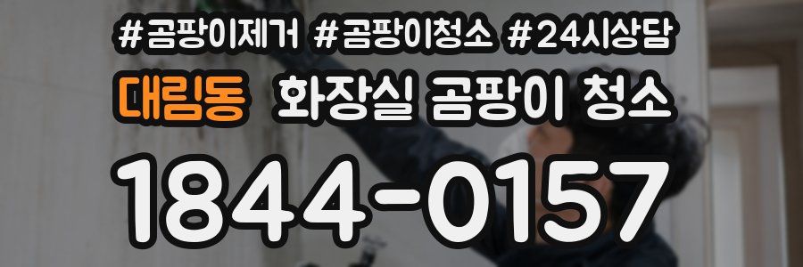 대림동 화장실 곰팡이 청소