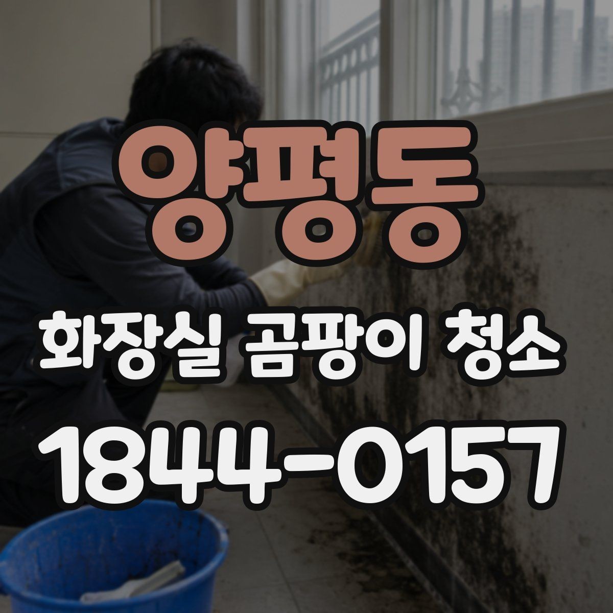 양평동 화장실 곰팡이 청소 세정 후 소독까지 이어지는 관리법
