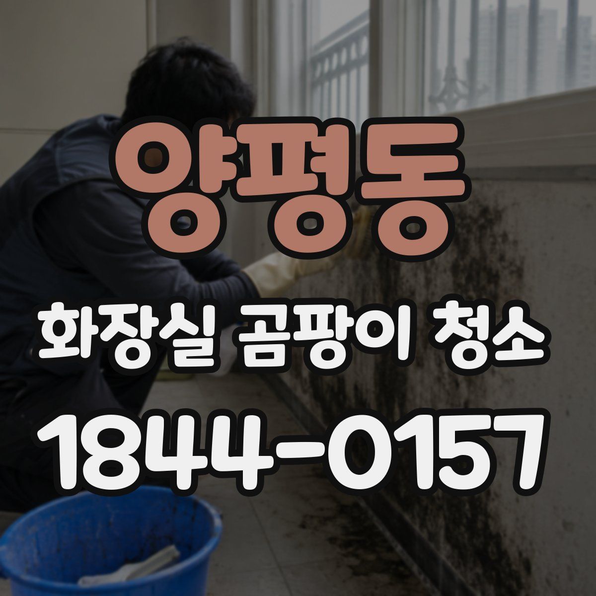양평동 화장실 곰팡이 청소