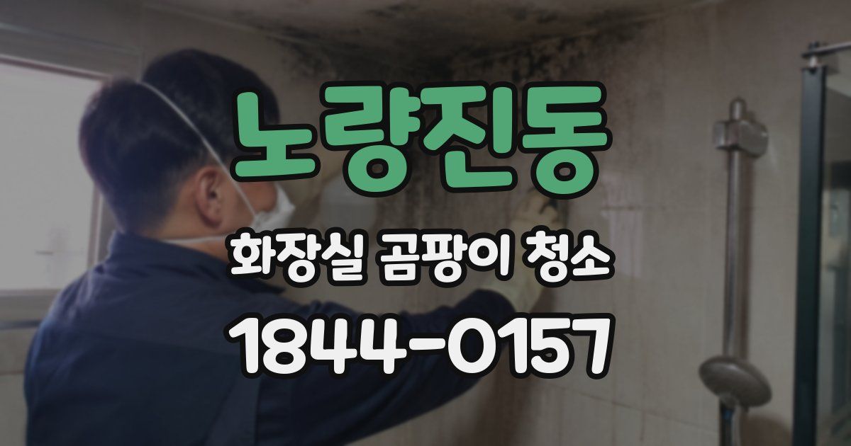 노량진동 화장실 곰팡이 청소