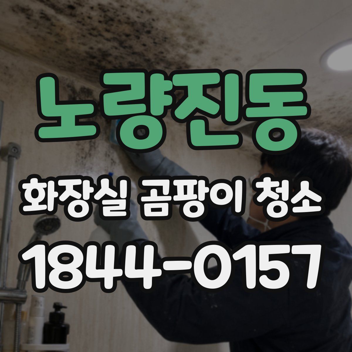 노량진동 화장실 곰팡이 청소