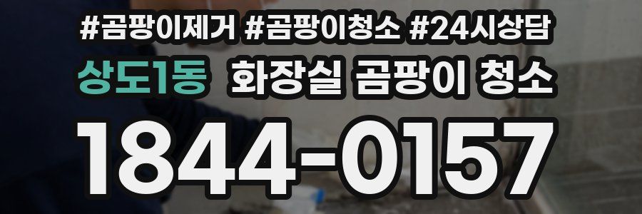 상도1동 화장실 곰팡이 청소