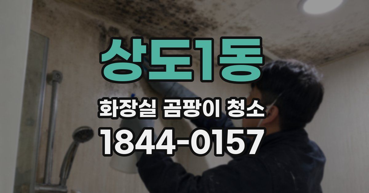 상도1동 화장실 곰팡이 청소
