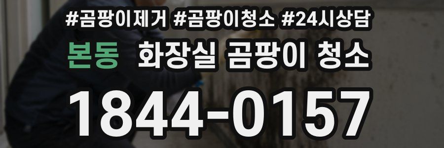 본동 화장실 곰팡이 청소
