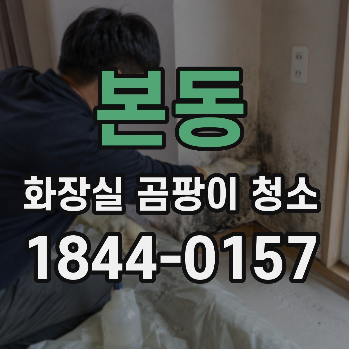 본동 화장실 곰팡이 청소