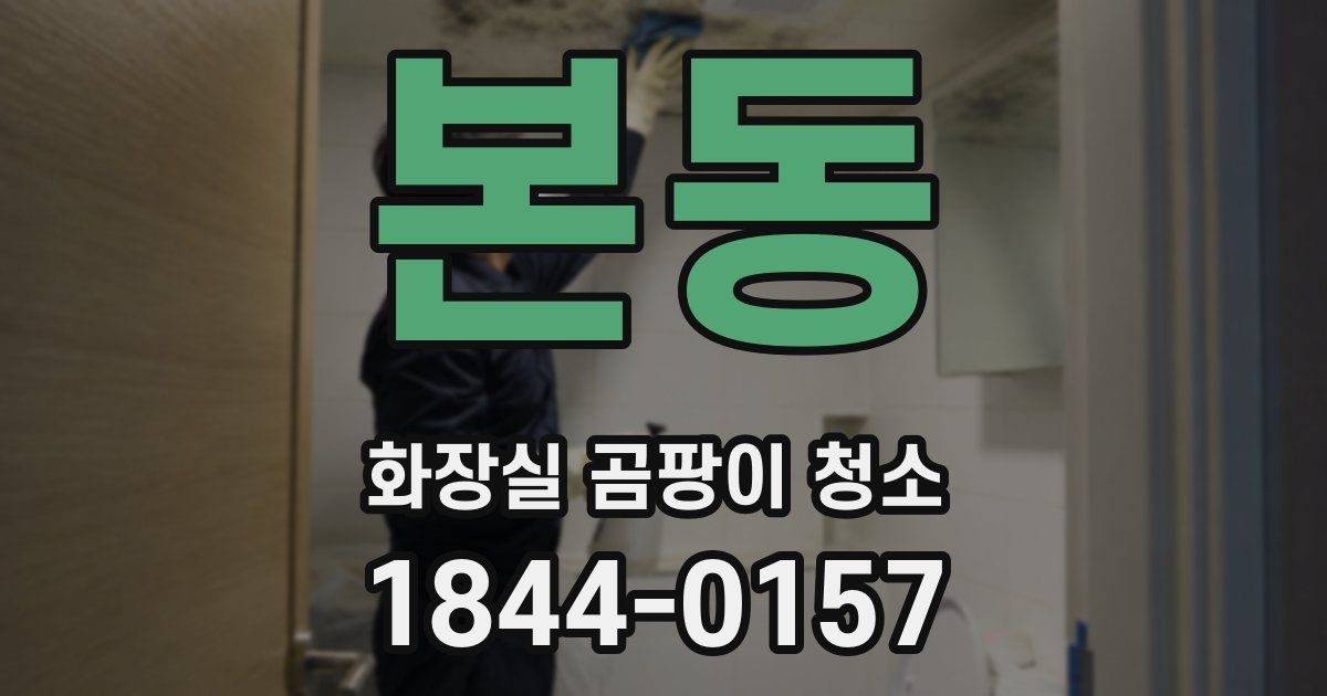 본동 화장실 곰팡이 청소