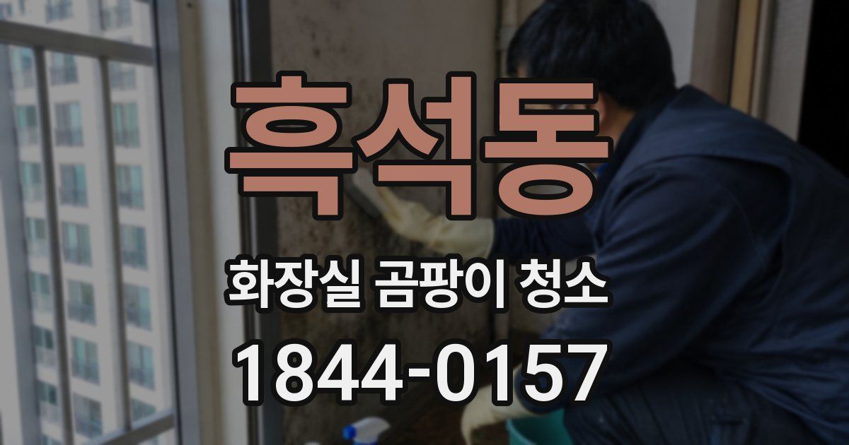 흑석동 화장실 곰팡이 청소