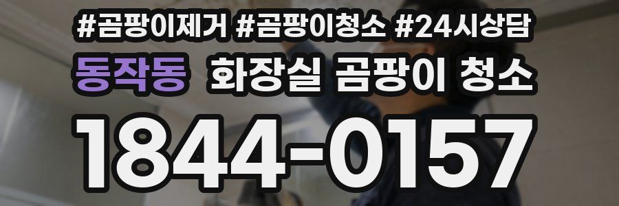 동작동 화장실 곰팡이 청소