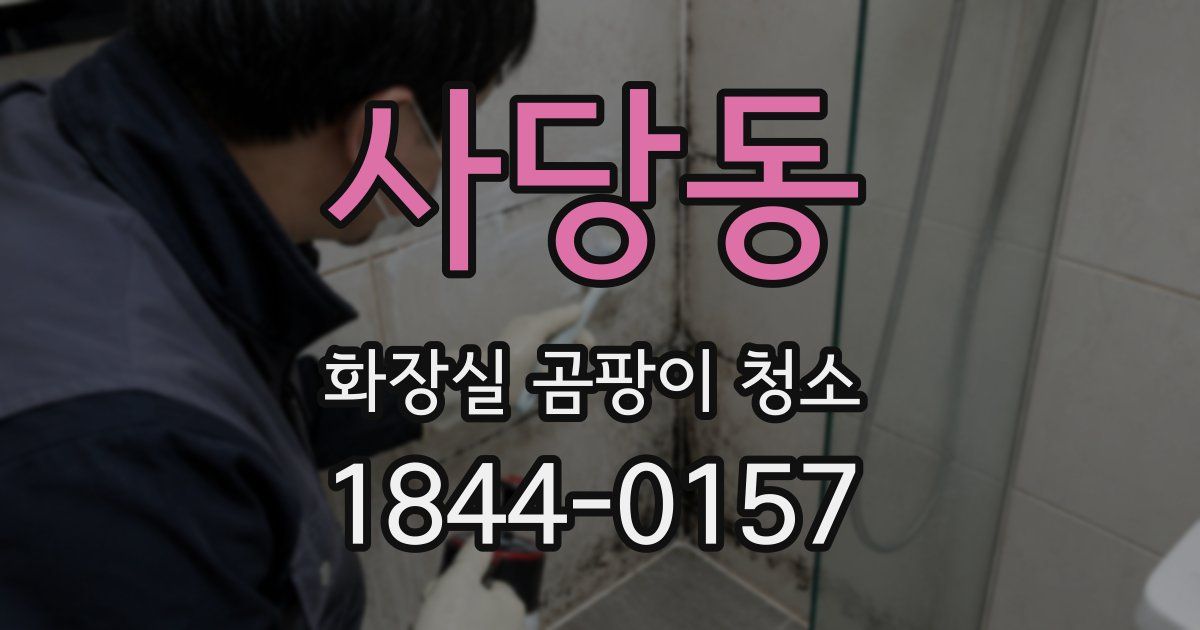 사당동 화장실 곰팡이 청소