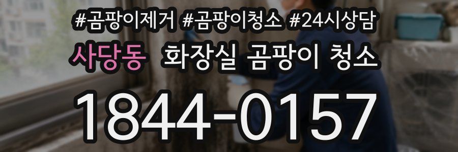 사당동 화장실 곰팡이 청소