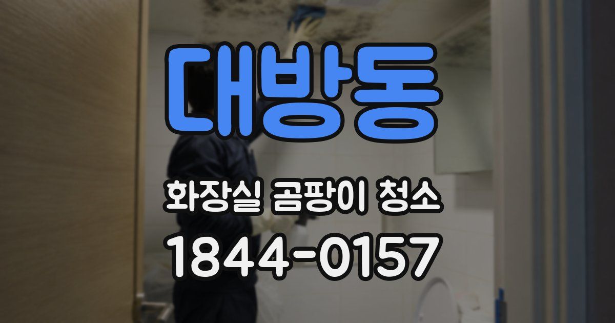 대방동 화장실 곰팡이 청소
