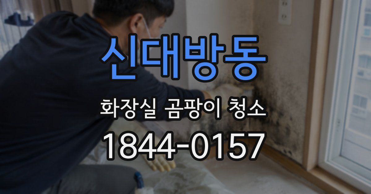 신대방동 화장실 곰팡이 청소