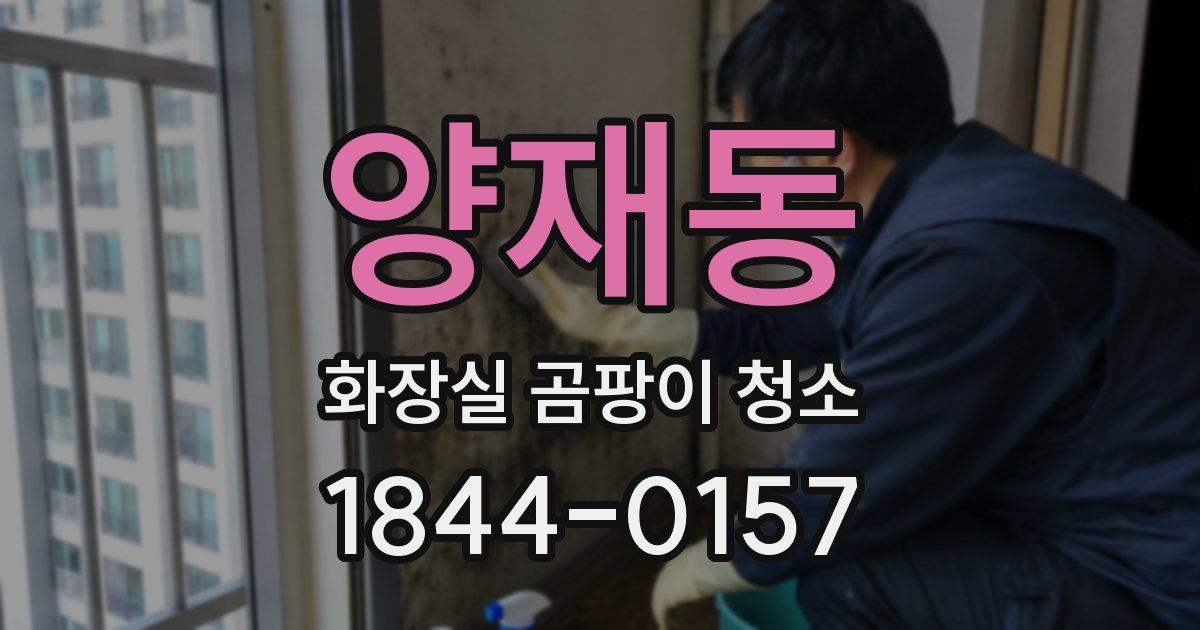 양재동 화장실 곰팡이 청소