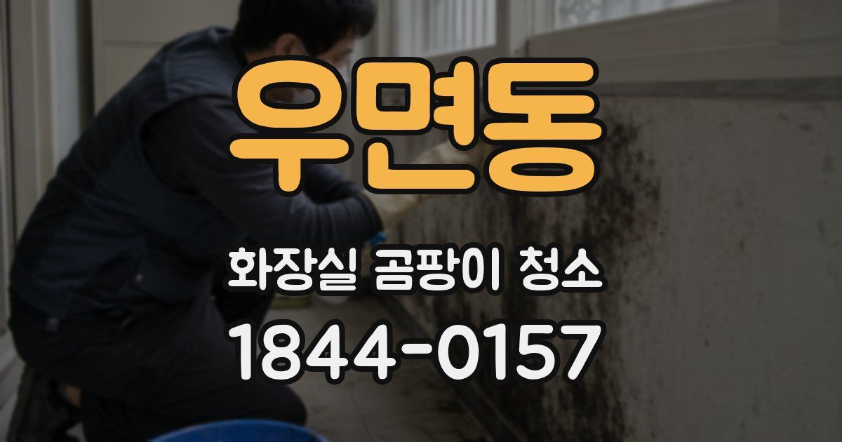 우면동 화장실 곰팡이 청소
