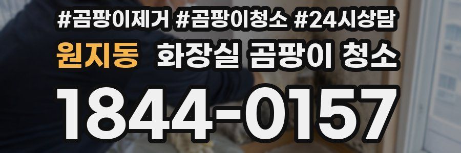 원지동 화장실 곰팡이 청소