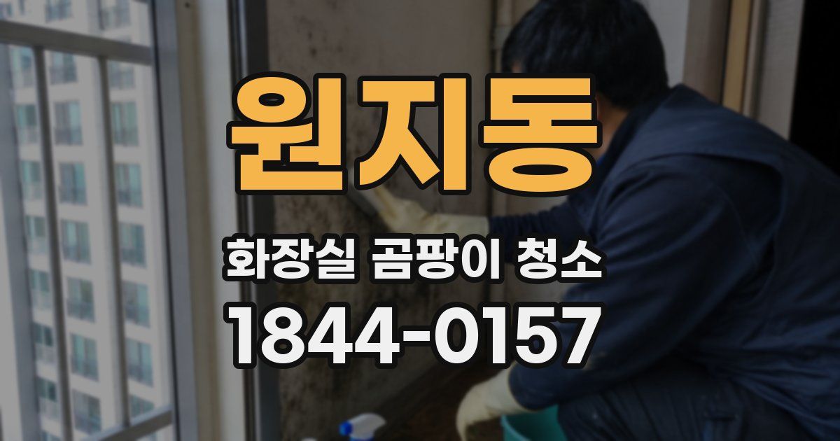 원지동 화장실 곰팡이 청소