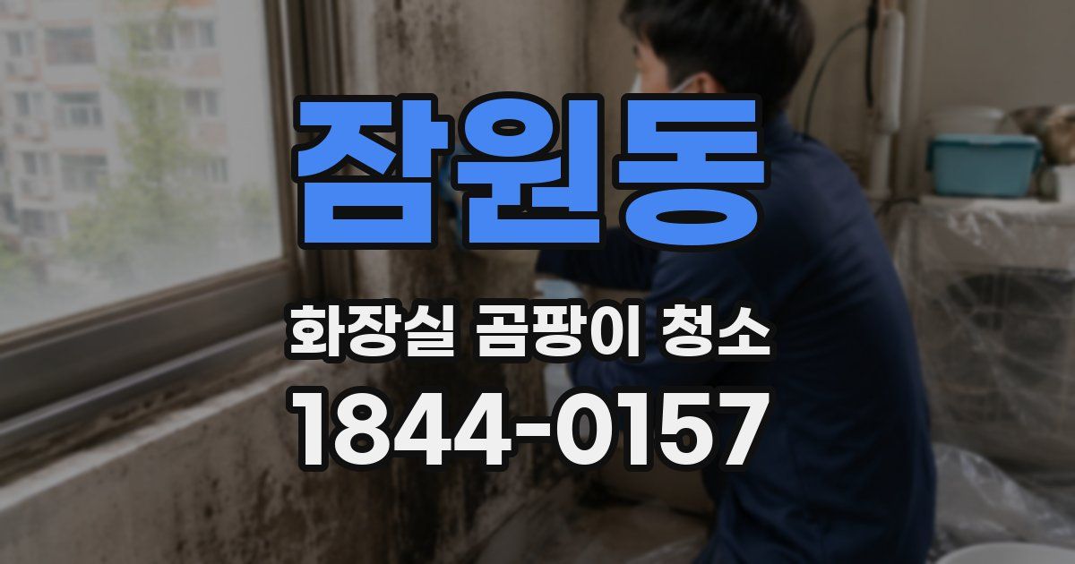 잠원동 화장실 곰팡이 청소