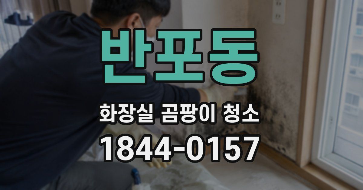 반포동 화장실 곰팡이 청소