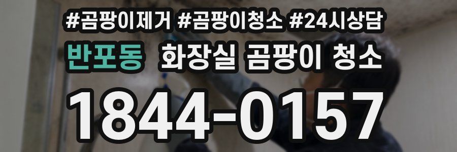 반포동 화장실 곰팡이 청소