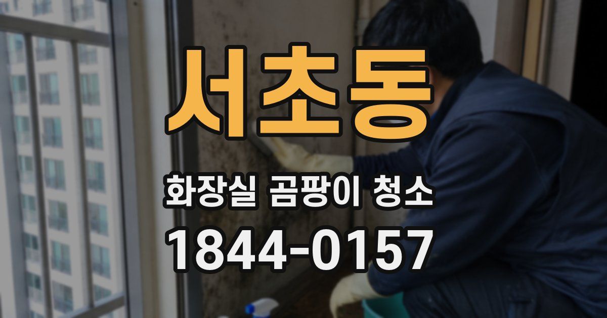 서초동 화장실 곰팡이 청소