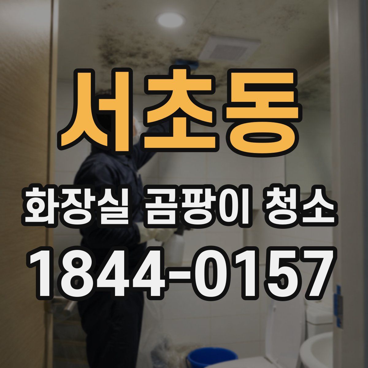 서초동 화장실 곰팡이 청소