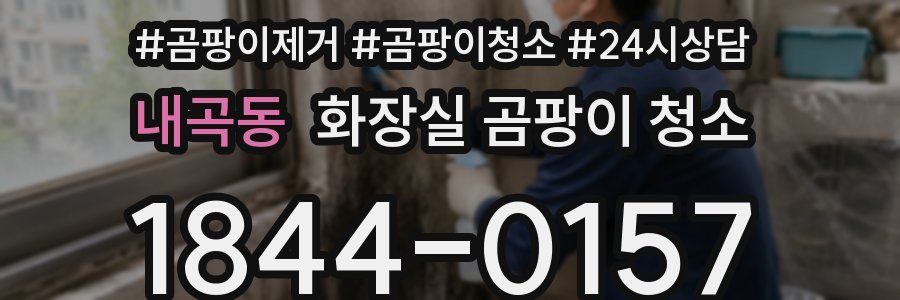 내곡동 화장실 곰팡이 청소