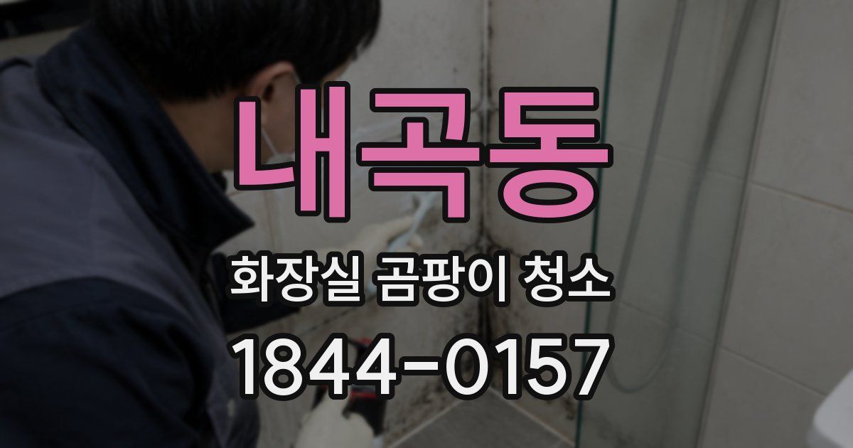 내곡동 화장실 곰팡이 청소