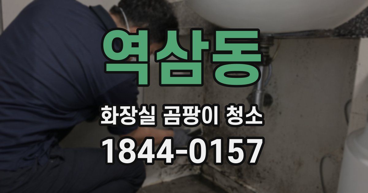 역삼동 화장실 곰팡이 청소