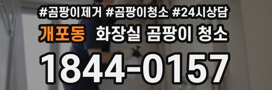 개포동 화장실 곰팡이 청소