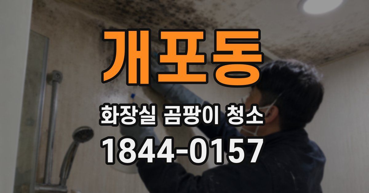 개포동 화장실 곰팡이 청소