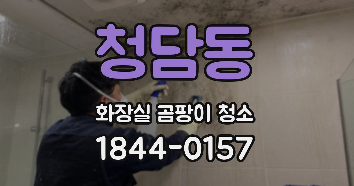 청담동 화장실 곰팡이 청소