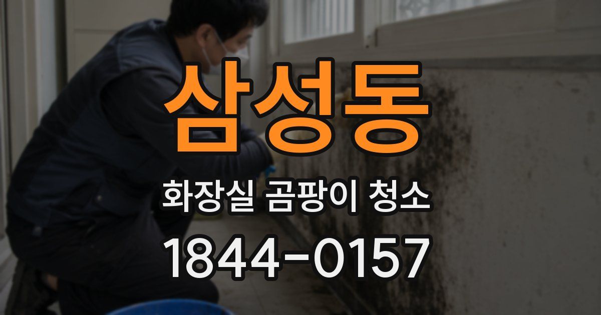 삼성동 화장실 곰팡이 청소
