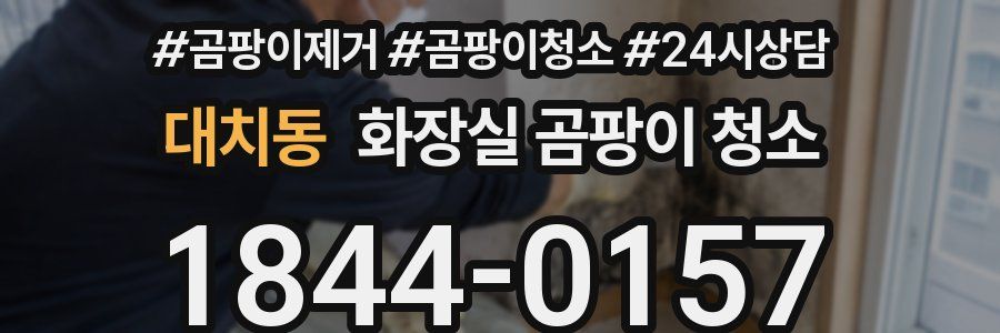 대치동 화장실 곰팡이 청소