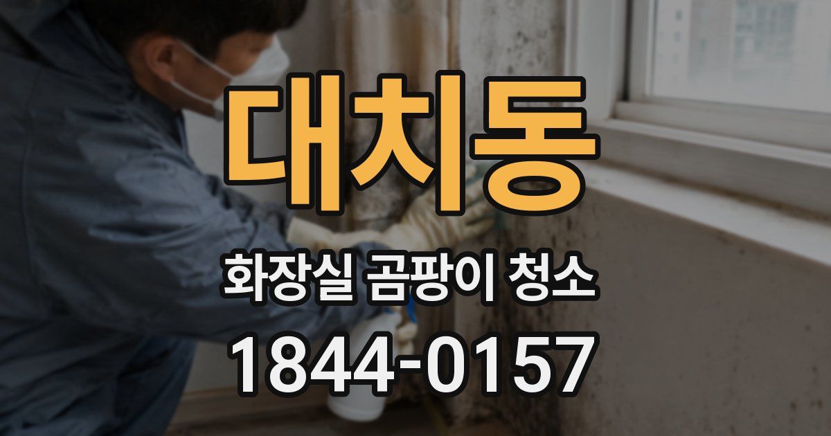 대치동 화장실 곰팡이 청소