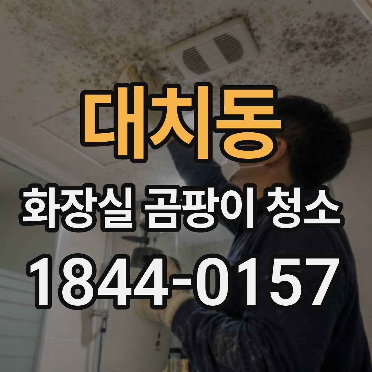 대치동 화장실 곰팡이 청소