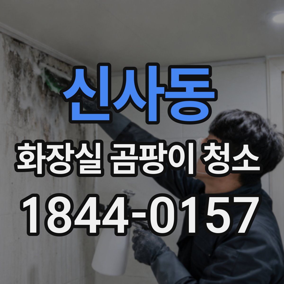 신사동 화장실 곰팡이 청소
