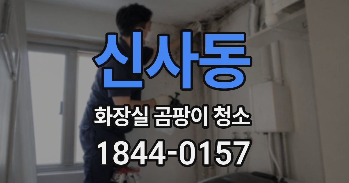 신사동 화장실 곰팡이 청소
