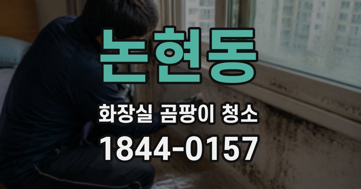 논현동 화장실 곰팡이 청소