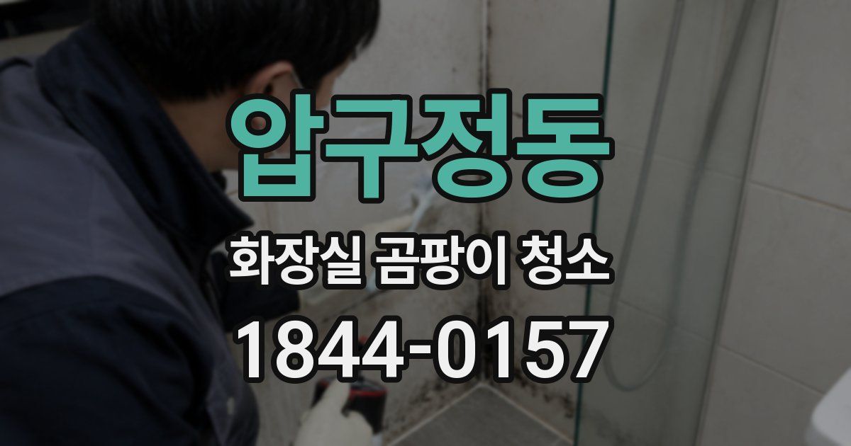 압구정동 화장실 곰팡이 청소