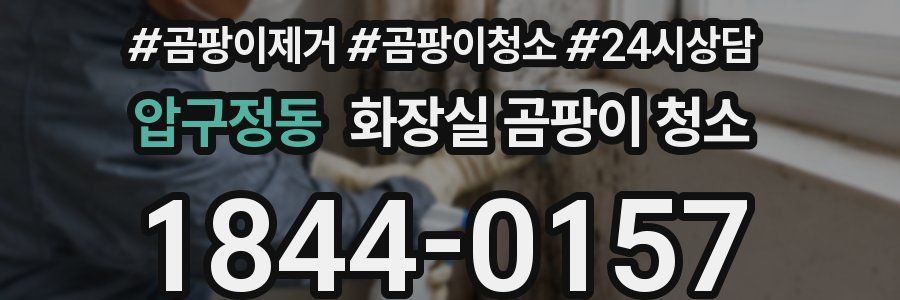압구정동 화장실 곰팡이 청소
