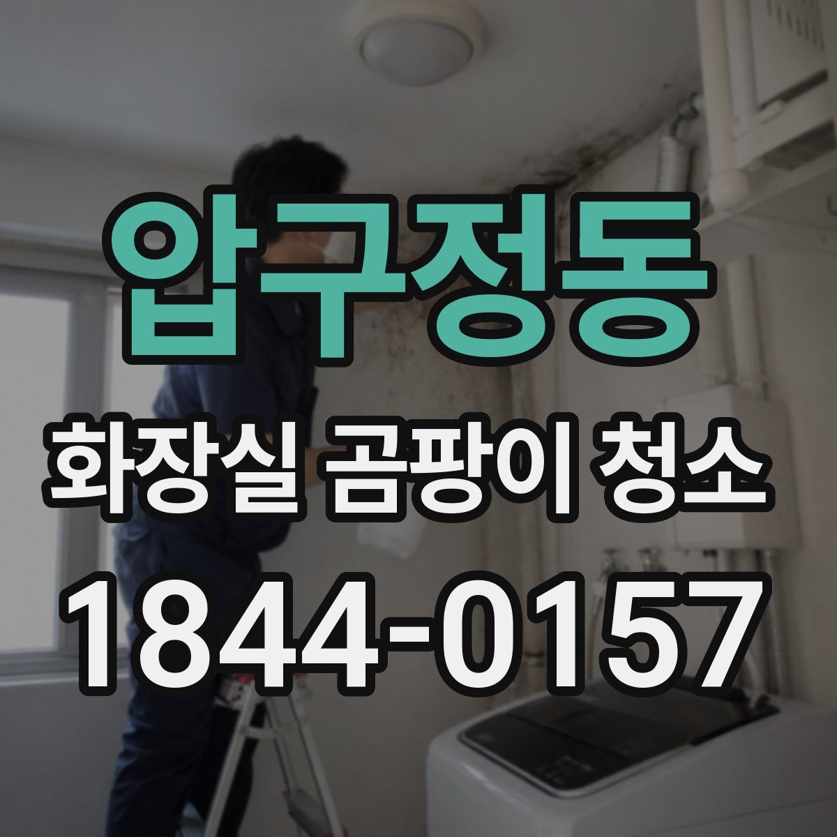 압구정동 화장실 곰팡이 청소