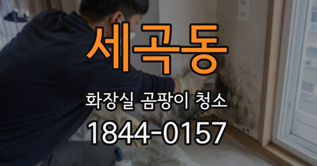 세곡동 화장실 곰팡이 청소