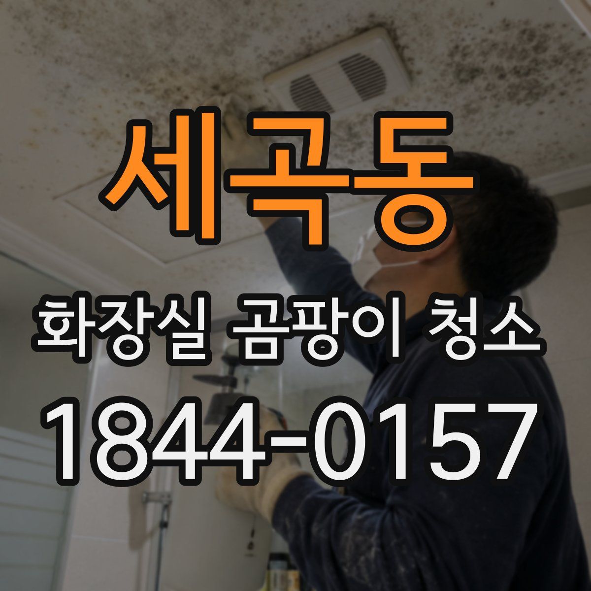 세곡동 화장실 곰팡이 청소