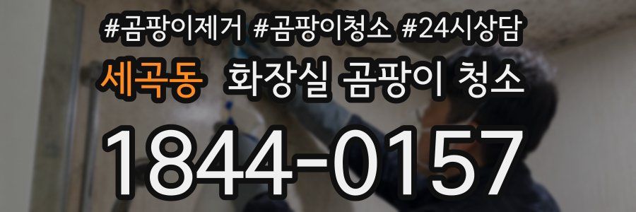세곡동 화장실 곰팡이 청소