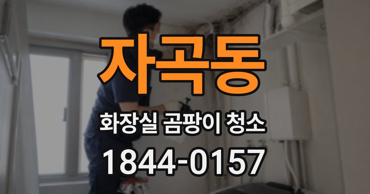 자곡동 화장실 곰팡이 청소