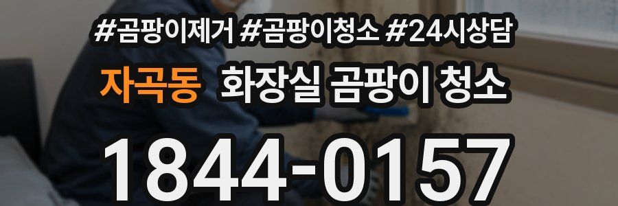 자곡동 화장실 곰팡이 청소