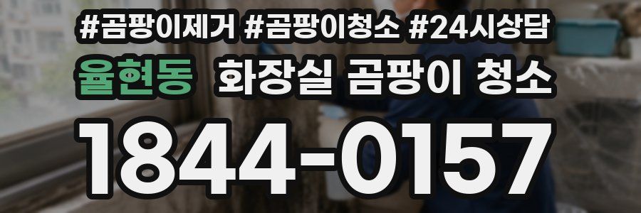 율현동 화장실 곰팡이 청소