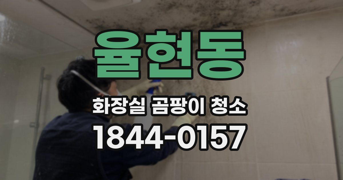 율현동 화장실 곰팡이 청소