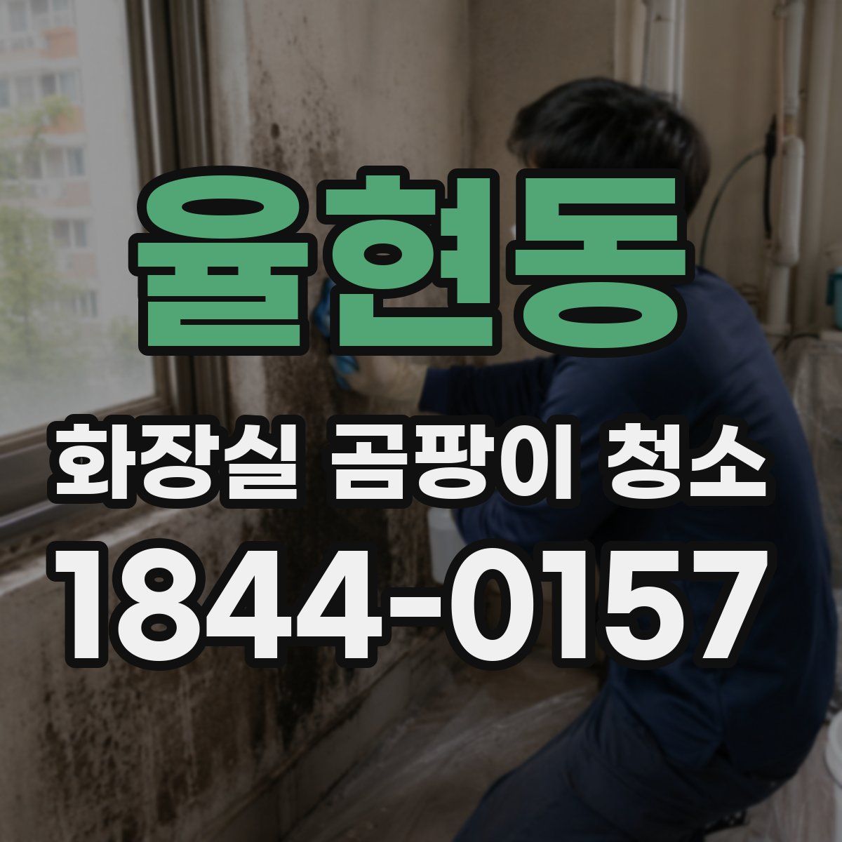 율현동 화장실 곰팡이 청소