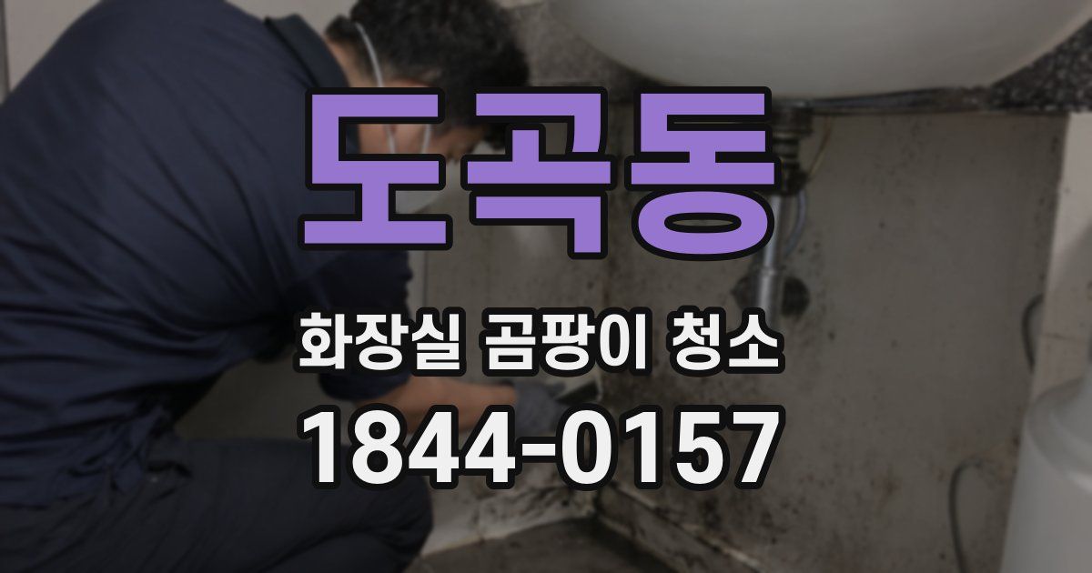도곡동 화장실 곰팡이 청소